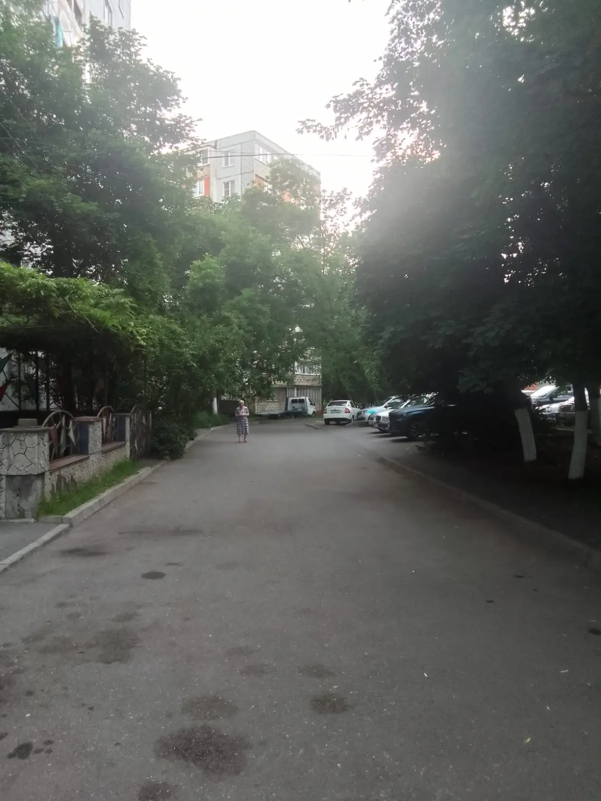Уборка дворовой територии.
Московская 54/2