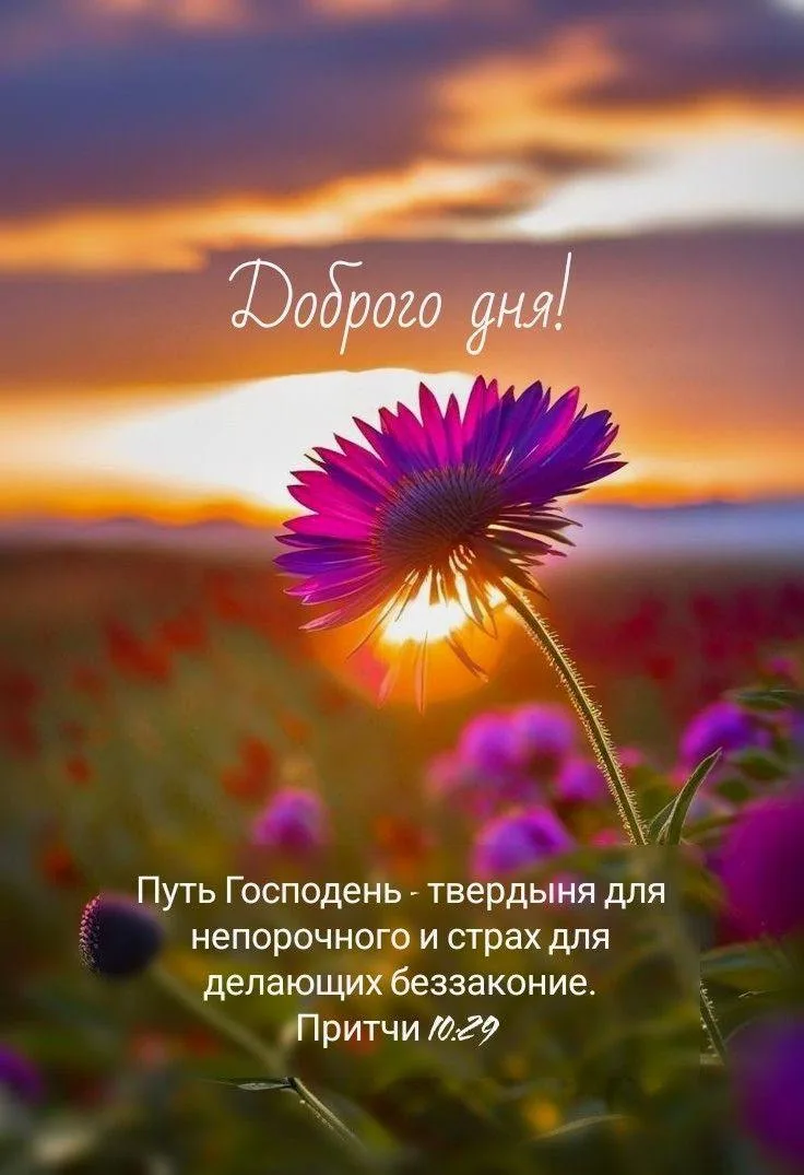 ❤️❤️❤️❤️Открытки❤️❤️❤️❤️
Теперь и в MAX