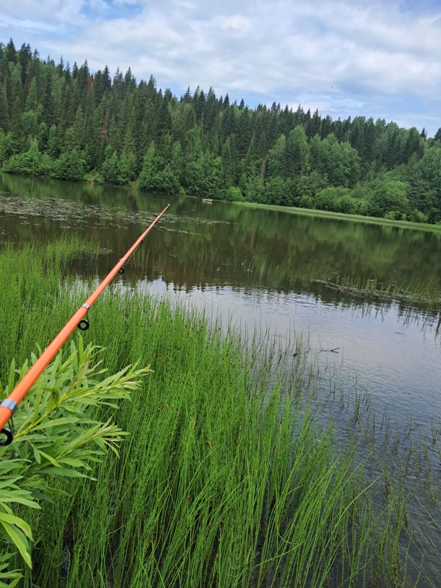✅❤Красота