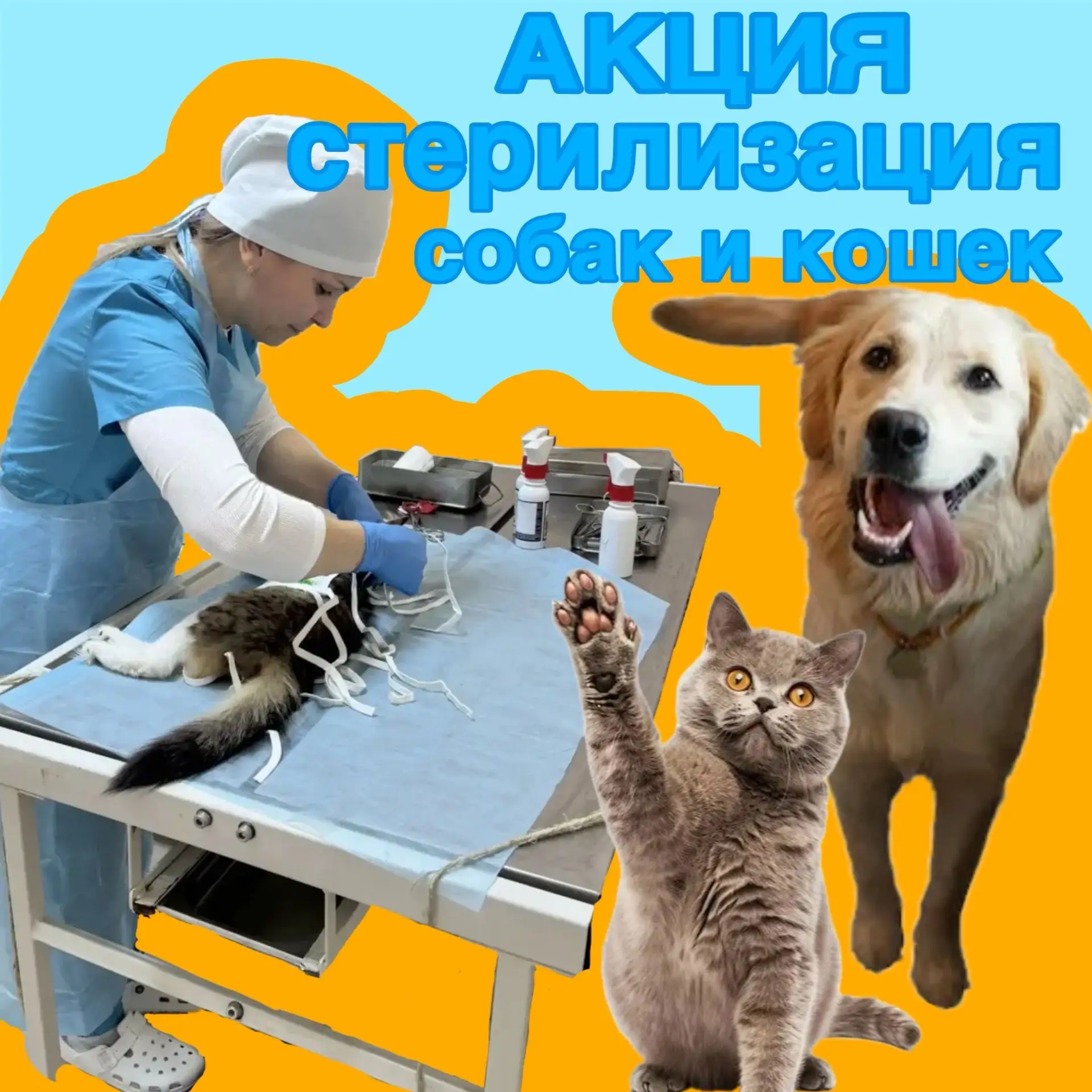 🔥Льготная стерилизация собак и кошек🔥

Только с 22 по 26 июня у вас есть возможность стерилизовать