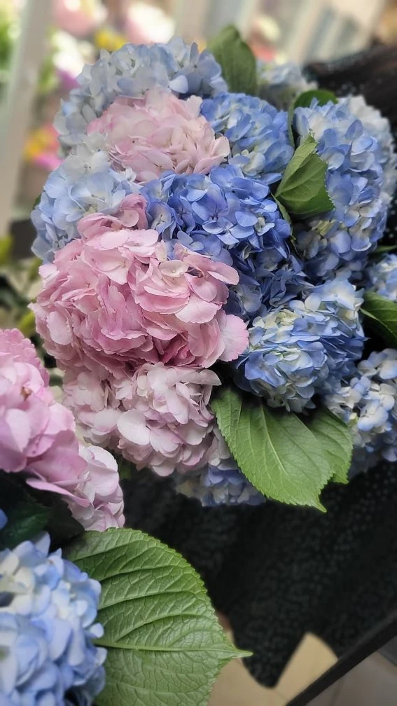 Качество, которое чувствуется: свежая поставка уже у нас!🥰

Все просто, пиши нам: 
бот для оформлен