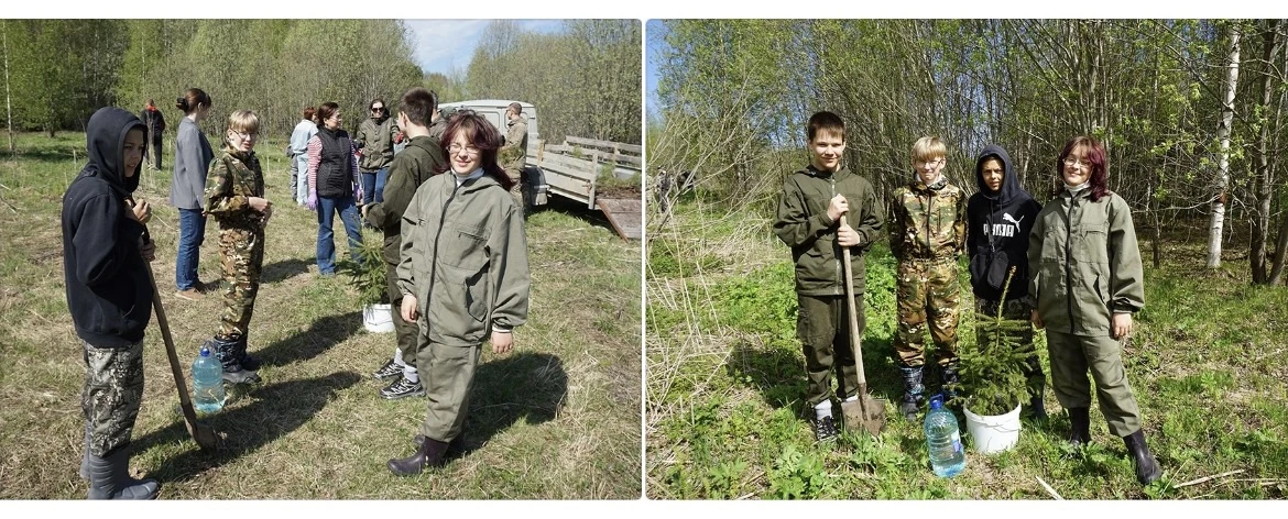 По следам событий

С 2020 года  проводится международная акция «Сад памяти» – посадка деревьев в пам