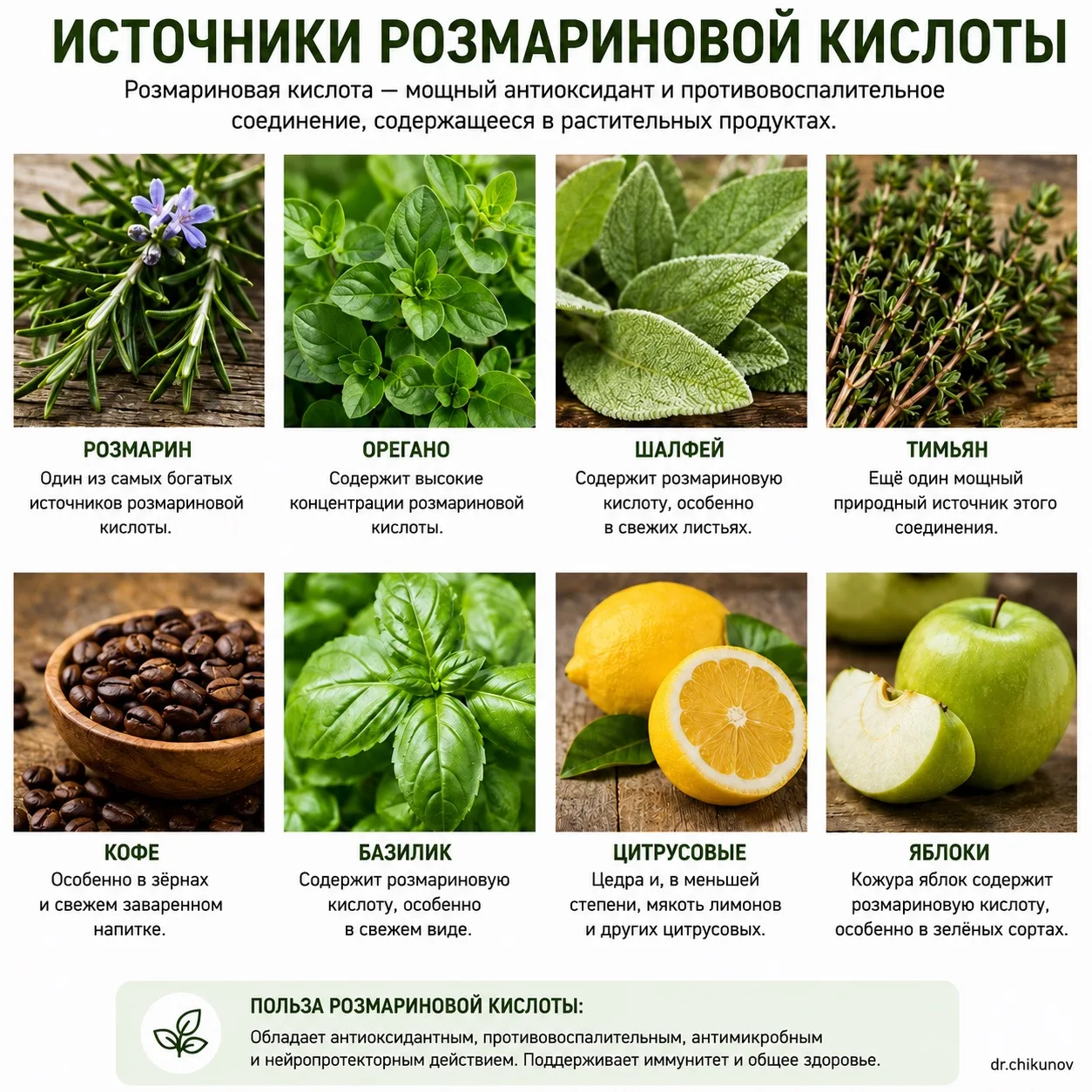 Розмариновая кислота - природный антиоксидант из розмарина, мелиссы, шалфея, базилика, орегано и мят