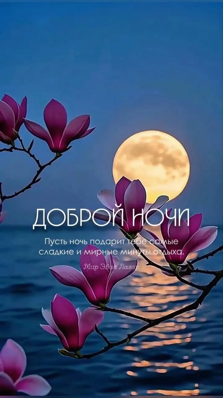 Подпишись 👇
Мои открытки  - МАХ • Открытки • Доброе утро • С днём рождения • Спокойной ночи