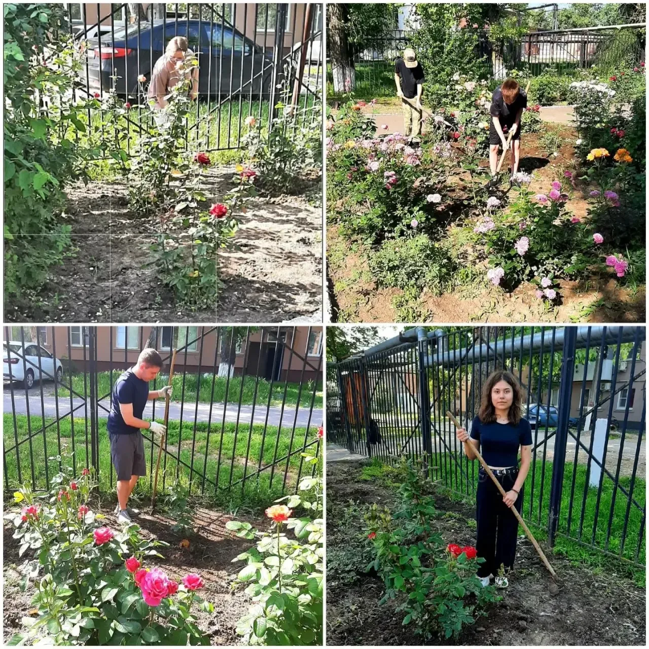 🌹🌹🌹«Школьные розы учатся терпению, а дети — любви»🌹🌹🌹

В рамках экопроекта «Создадим красоту с