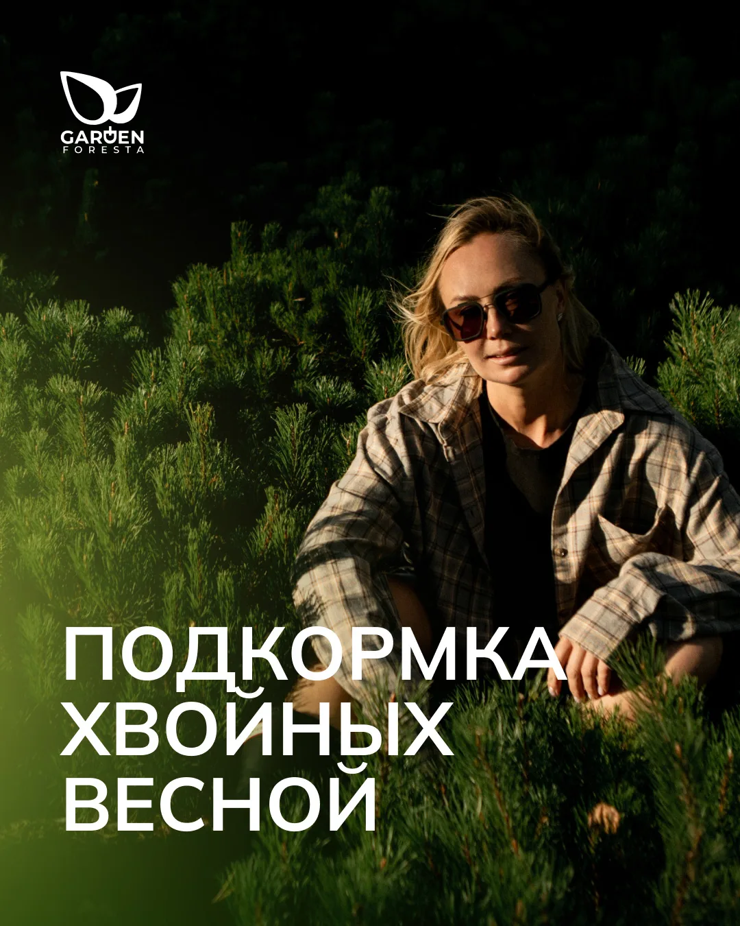 Мы не приветствуем регулярную подкормку хвойных растений. Вносим удобрения только в первые годы посл