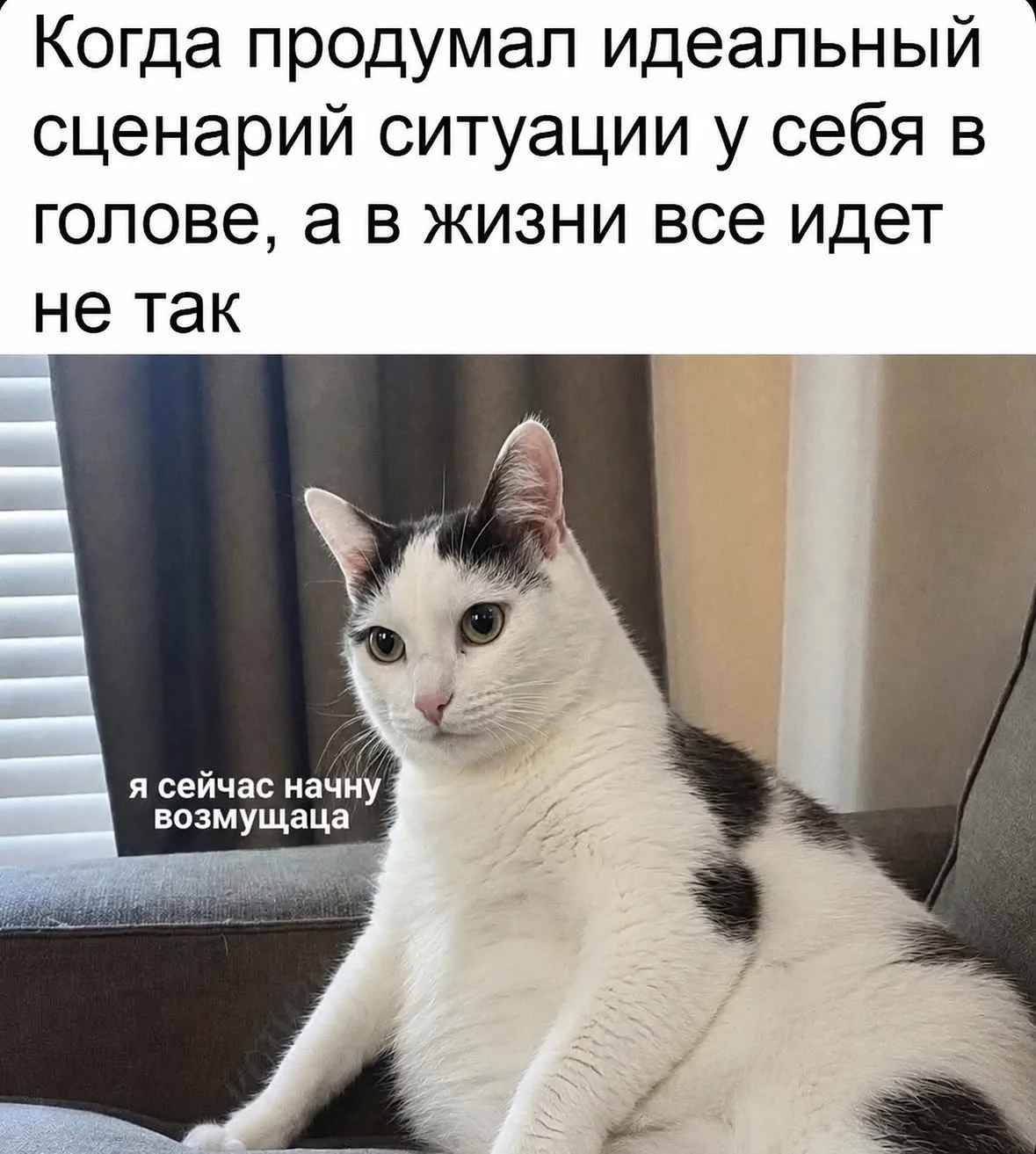 Обычный день тревожника