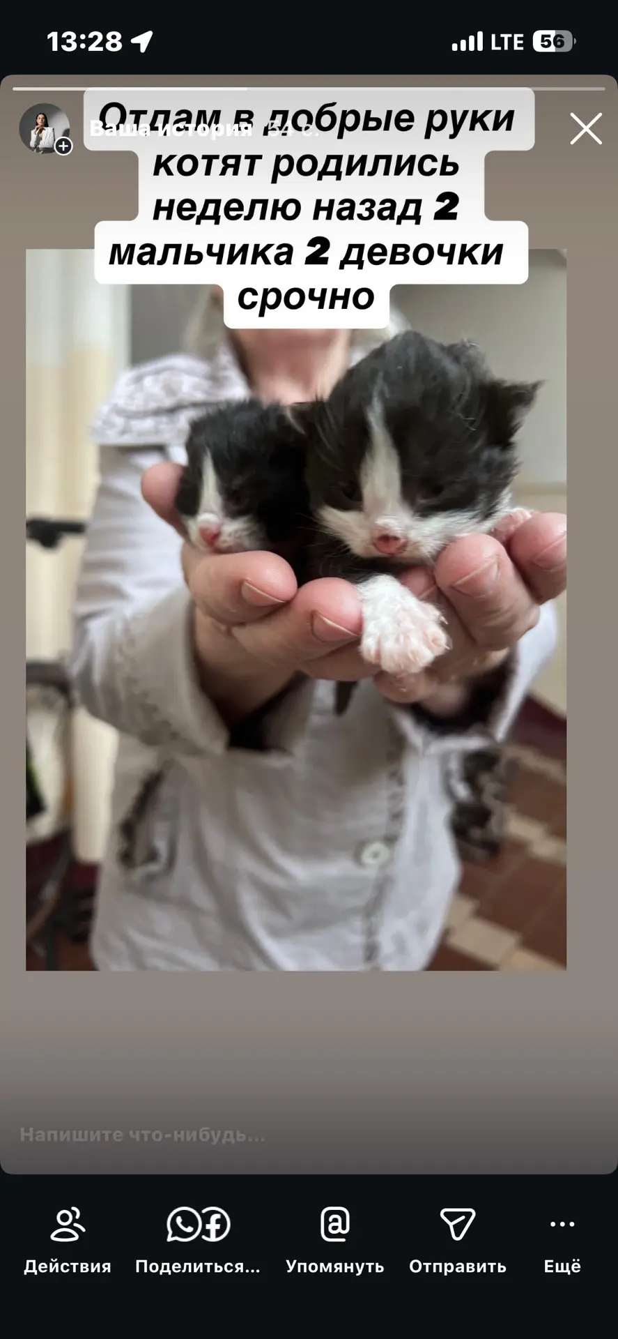 Отдам котят в добрые руки родились неделю назад 2 девочки и 2 мальчика