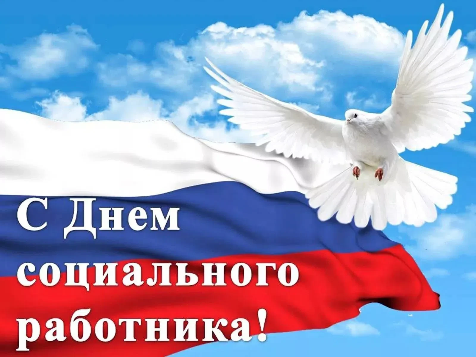 Дорогие социальные работники Старорусского округа! 
 
Примите самые искренние поздравления с вашим п