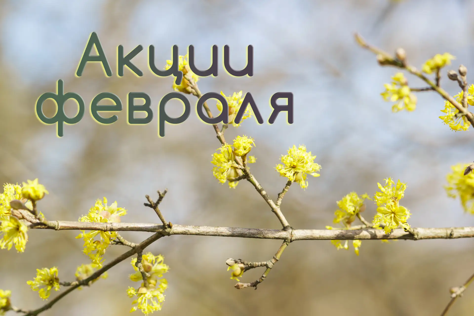 В феврале Spring Clinic совместно с лабораторией Инвитро проводит акцию по следующим видам анализов: