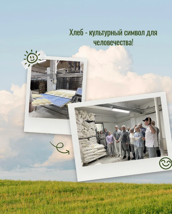 Хлеб — фундаментальный продукт питания и культурный символ для человечества, обеспечивающий организм