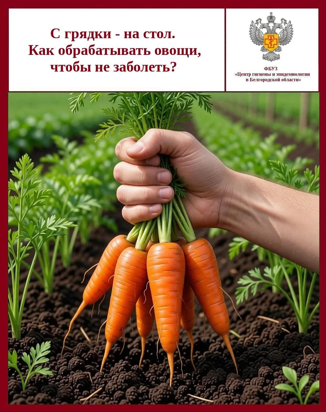 🥕 С грядки — на стол


☀️     Лето – это пора свежих овощей, фруктов, ягод и зелени. При несоблюден