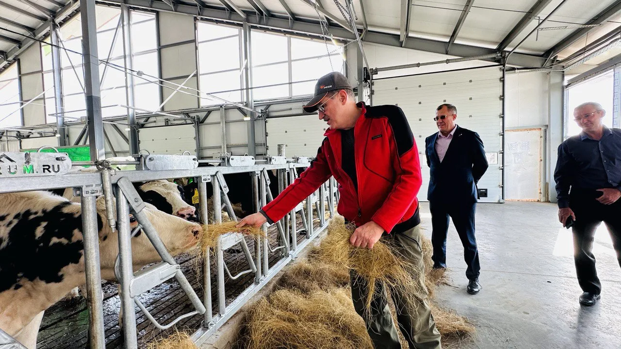 🚜 Уважаемые фермеры Оренбуржья! Сердечно поздравляю вас с профессиональным праздником!

Кто, если н