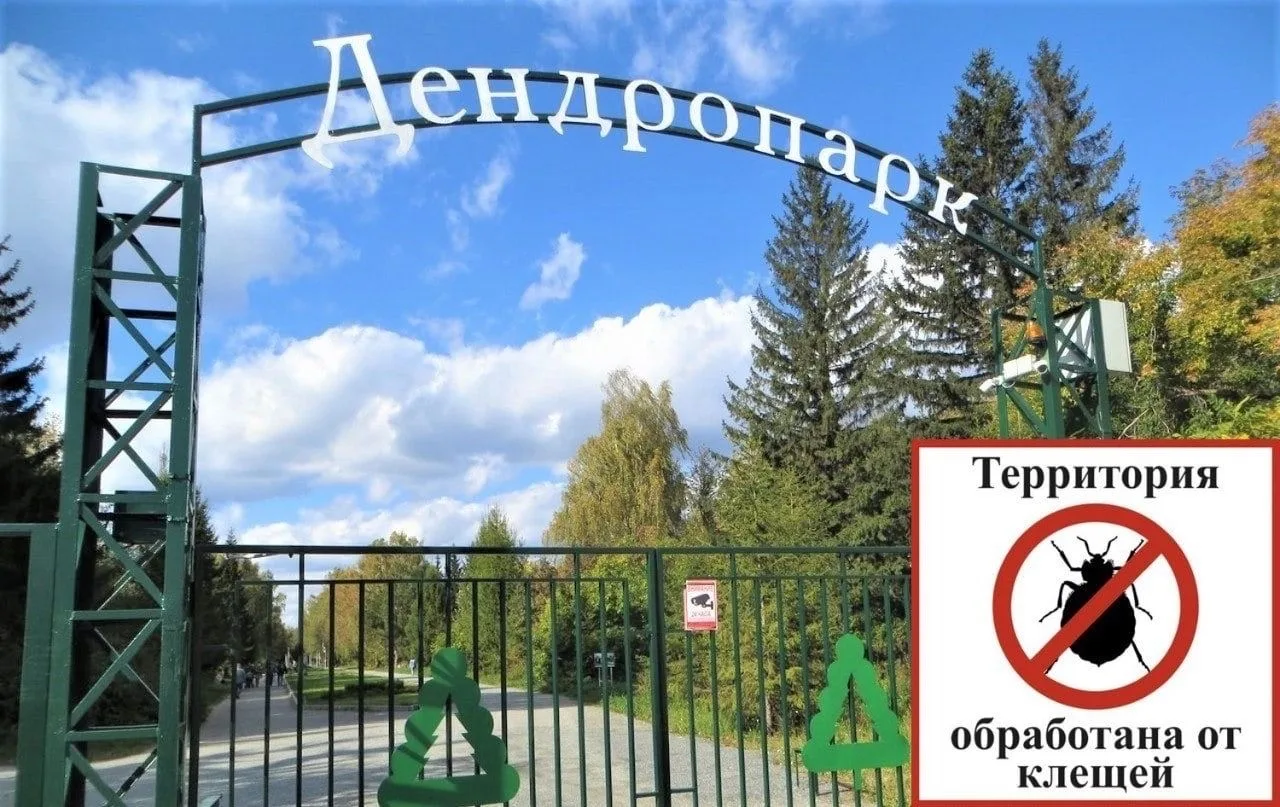 ❗️ Важно: Дендропарк будет обработан от клеща

25 июня на территории ООПТ «Дендрологический парк» бу