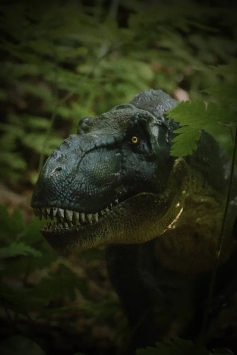Когда оживают легенды древности 🦕

Пишет наша читательница Полина Янакова ⤵️

💬 65 миллионов л