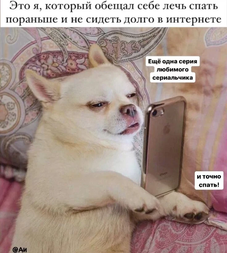 Хе хе хе, ну я всегда так 😂

Еще пару серий и В.С.Ё —> как итог всю ночь просижу, а с утра пойду на