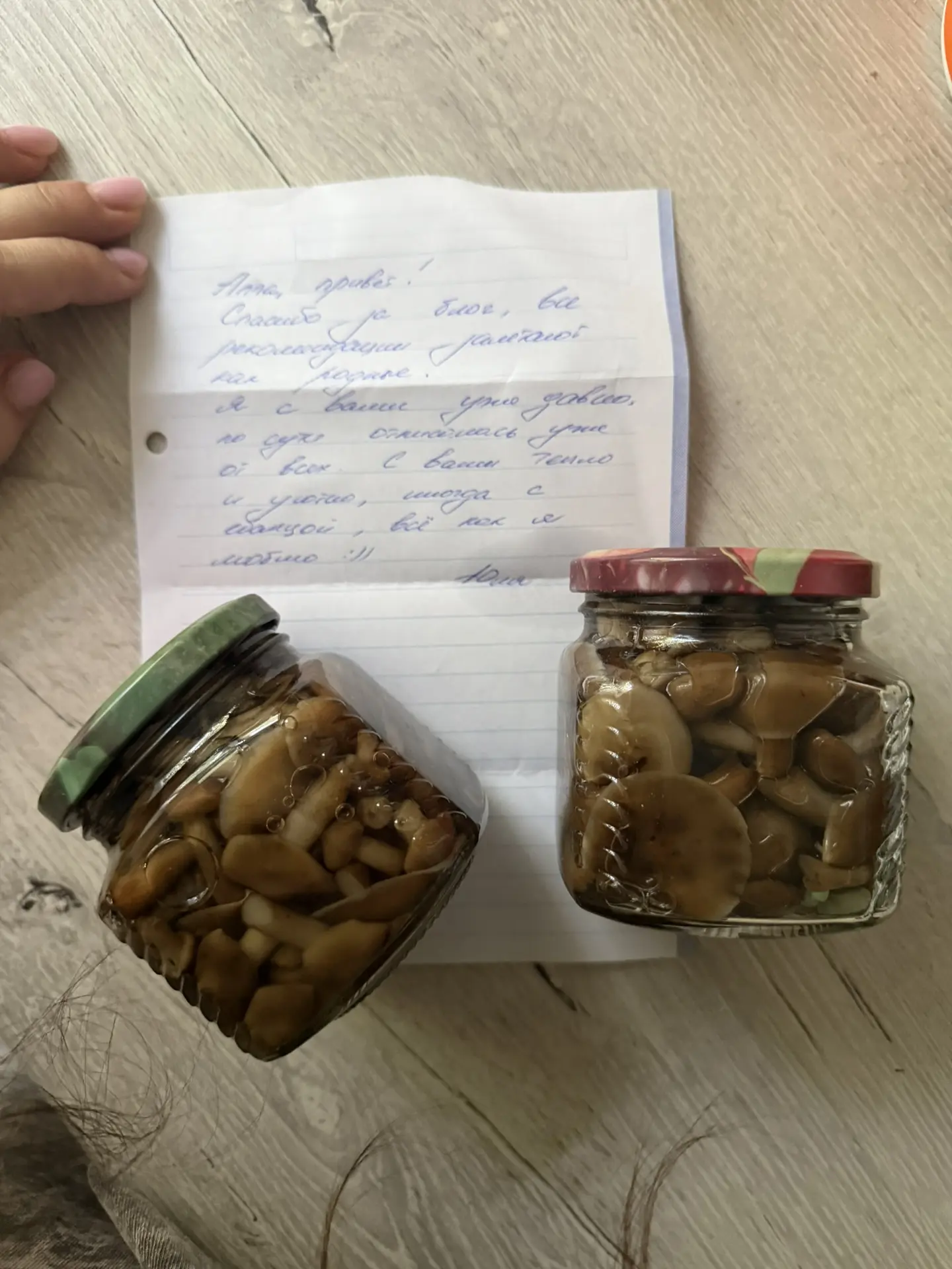 Получила в подарок соленые опята. 
Банку снесла за раз!
Знают, мои хорошие, чем меня пленить))
Спаси