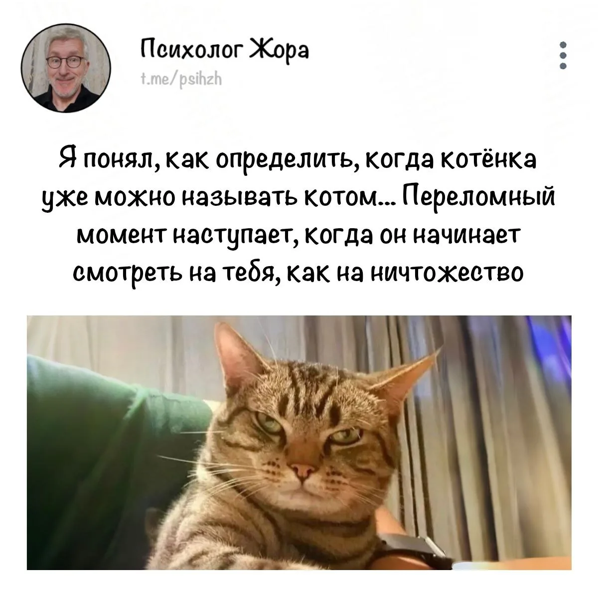 #правда_жоры