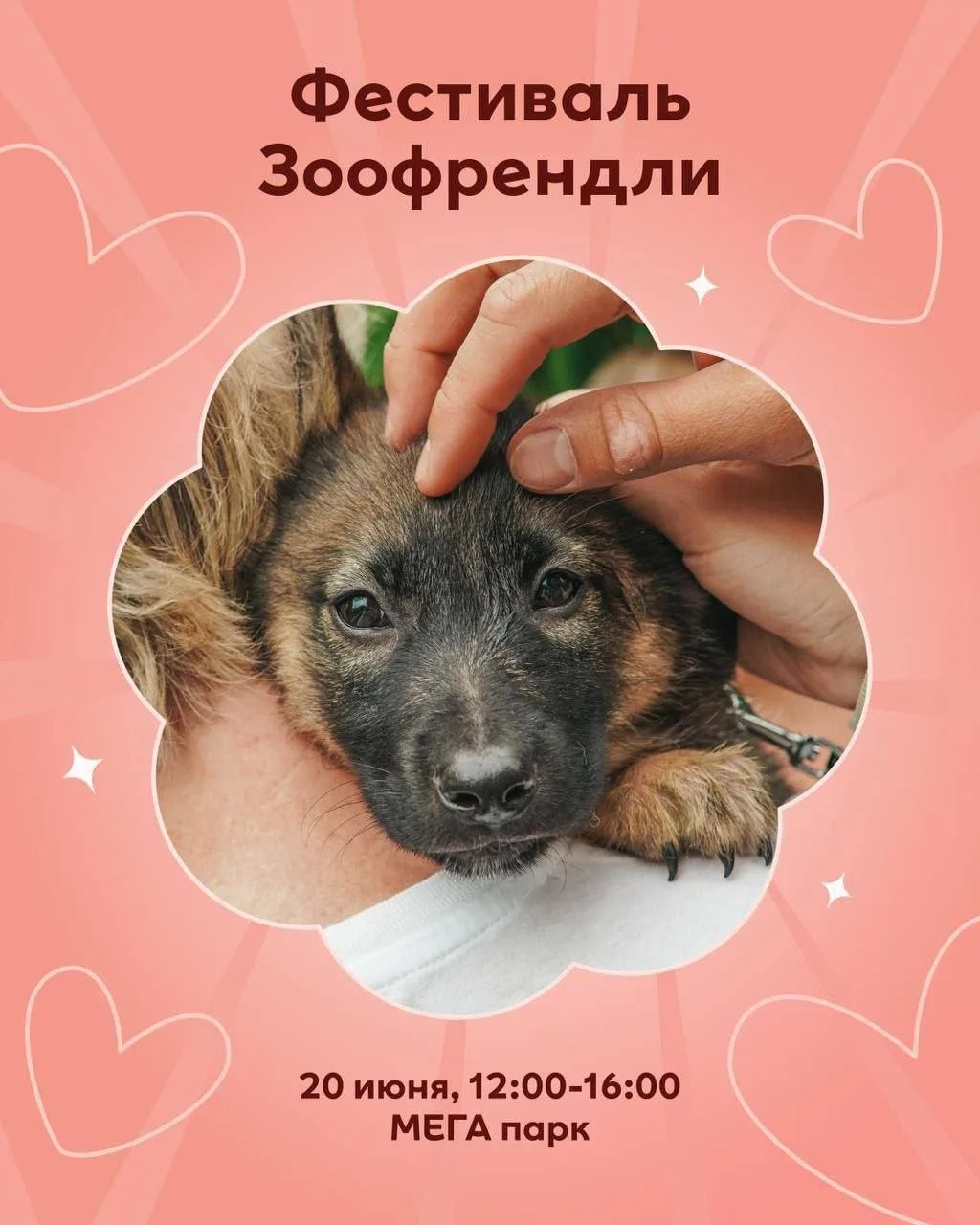 🐕‍🦺Фестиваль «ЗООФРЕНДЛИ» 

Большой фестиваль для всех, кто любит животных. Здесь можно познакомит