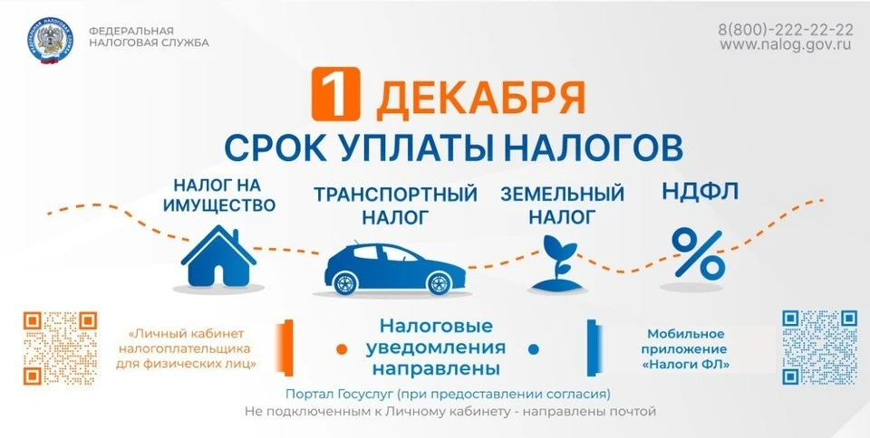 1 декабря 2025 года истекает срок уплаты налога на имущество, транспортного и земельного налогов физ