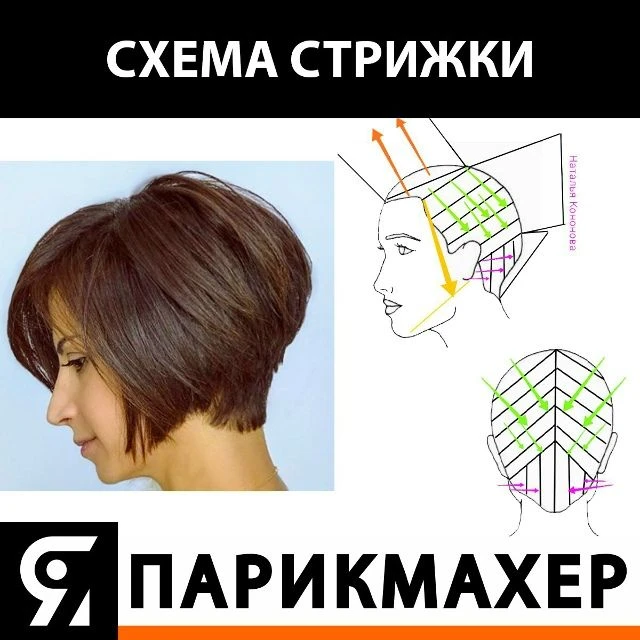 ☄️ im-prof.com это приложение уже стоит в телефоне каждого парикмахера, стилиста, колориста, бровист