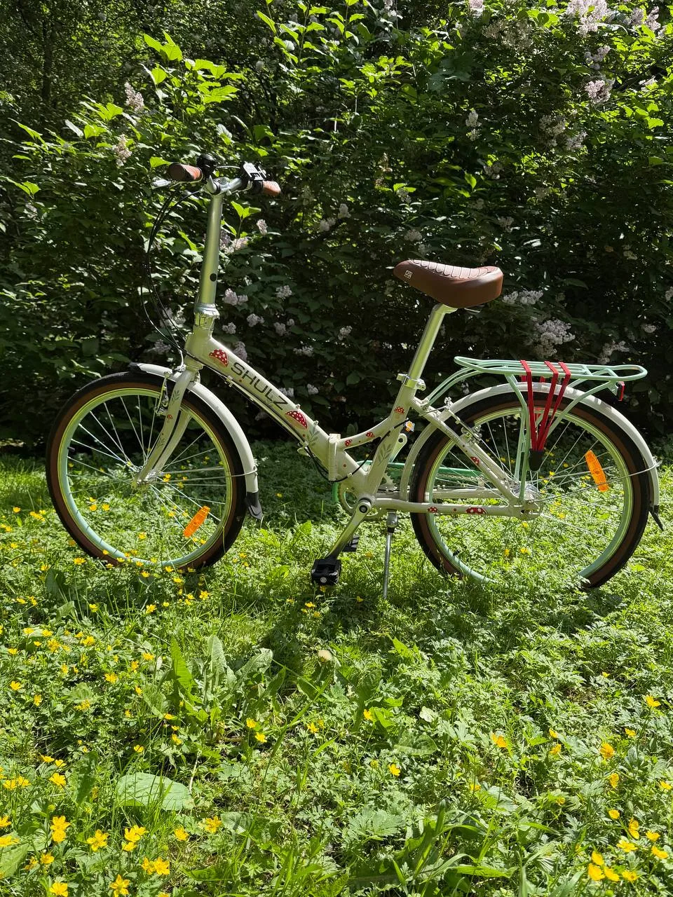 Ко мне наконец-то приехал мой новый складной красавчик от Shulz 🍄

Как только я увидела его в предз