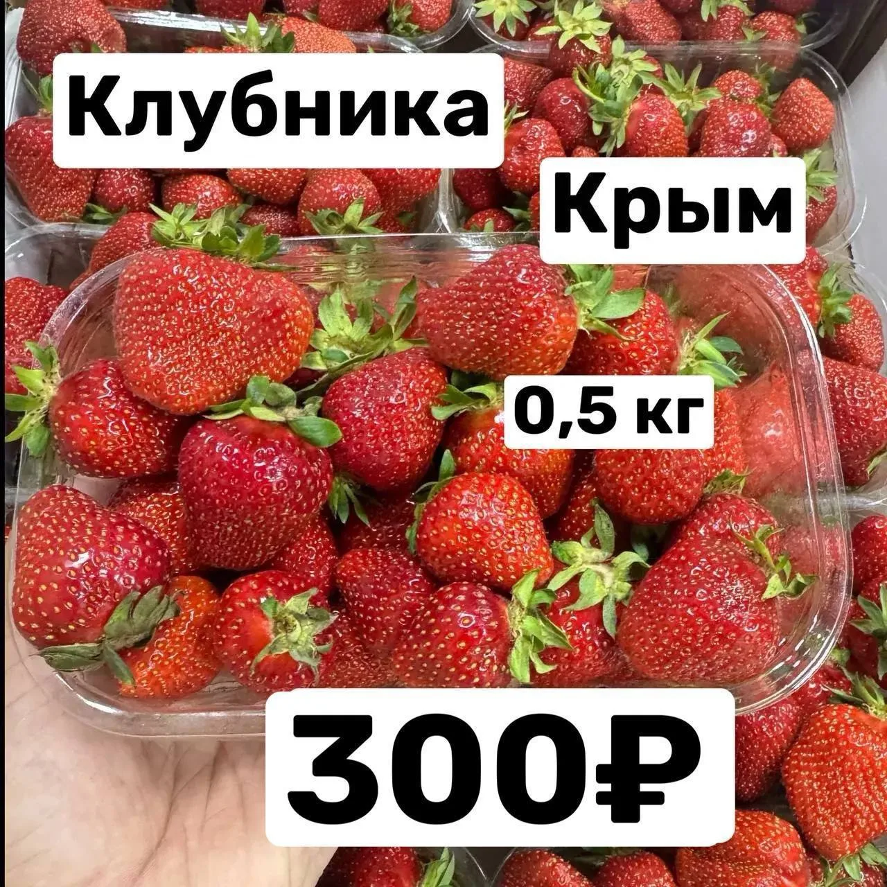 🍓🍊🍒Наггетсы Клубника,Черешня,Апельсин
Выдаем заказы 12 июня ( пятница )

Что в ассортименте:

Рас