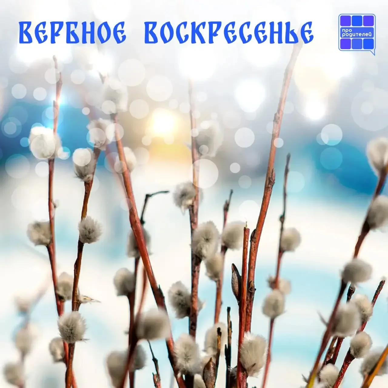 Вербное воскресенье: традиции, которые согревают семью

Сегодня в домах появляется верба — пушистая,