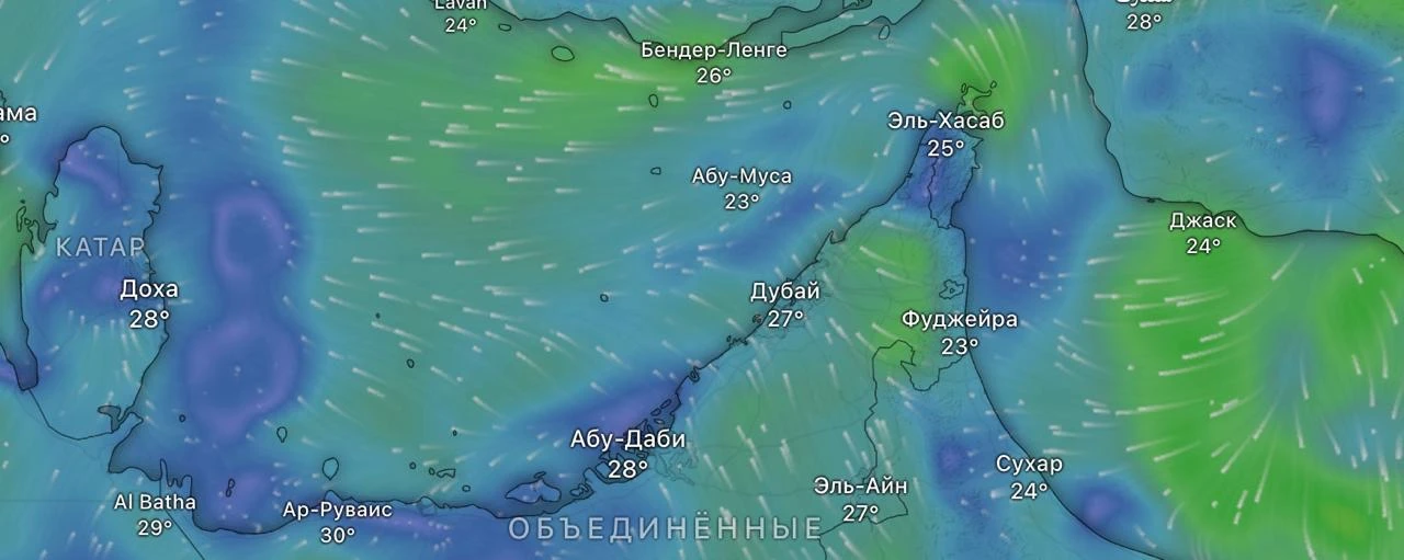 ☔️ В Абу-Даби и Дубае прошли сильные дожди, а плохая погода продлится как минимум до 27 марта
➖➖➖➖➖➖