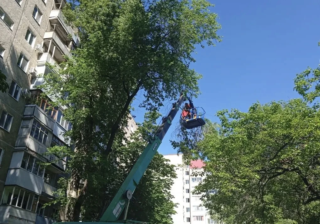 🌳 Произведена опиловка аварийных участков деревьев на придомовых территориях по следующим адресам:
