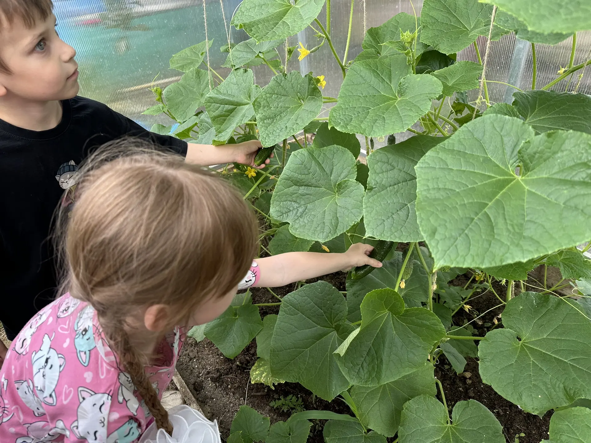 🌱👩‍🌾 Юные огородники из подготовительной группы №2! 🧑‍🌾

Сегодня у нас особенный день! Ребята с