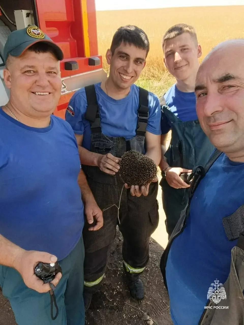 В Симферопольском районе спасли ежа из горящей травы

Во время тушения сухой травы в селе Давыдовка 