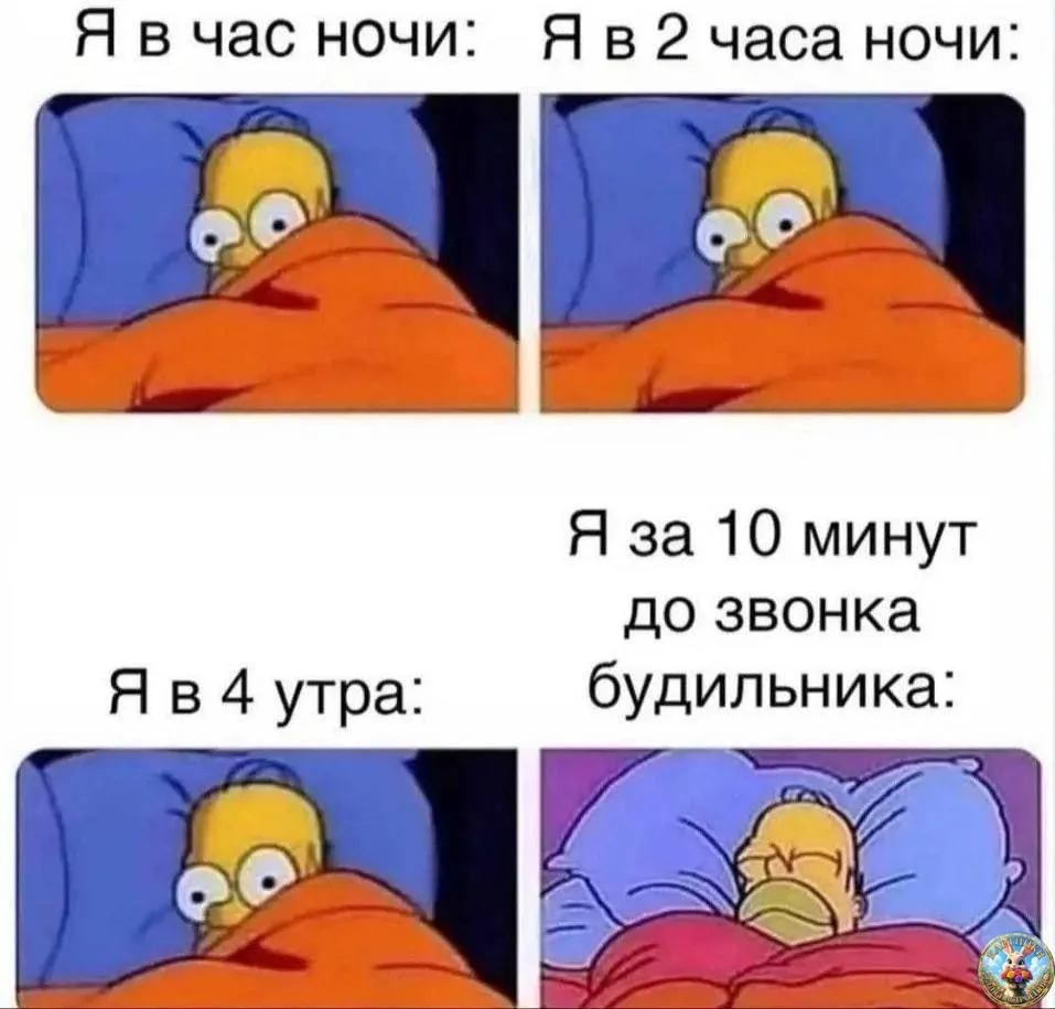 Картинки для настроения😊 | Юмор