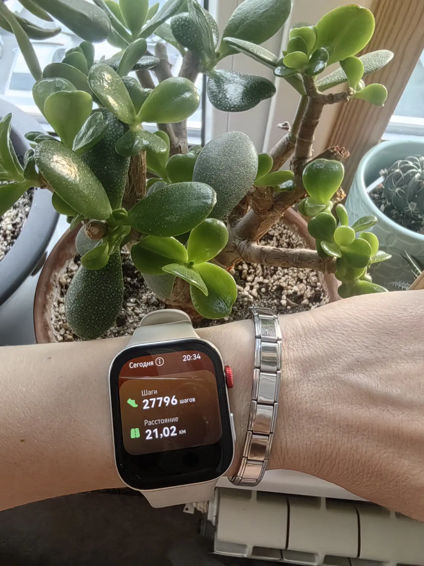 Вчера в потоке поздравлений я не совсем поняла как вам мой пост-знакомство? Я стала вам чуточку поня