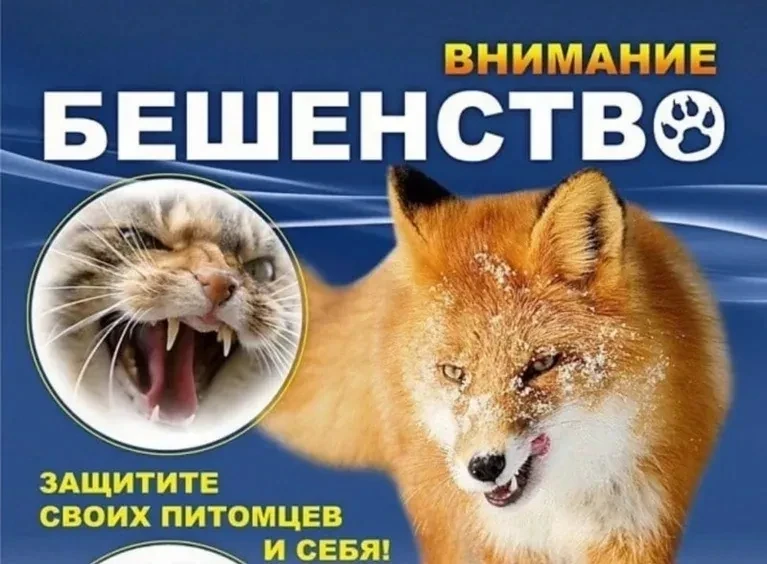 Бешенство — это смертельно. Защитите своих питомцев!

Бешенство неизлечимо. Если вирус начал поражат