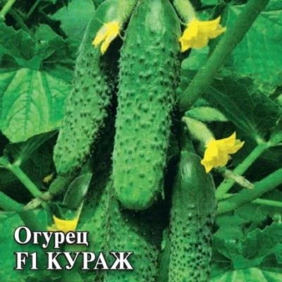 Дорогие друзья!
Делимся с вами рейтингом самых популярных семян от агрофирмы Гавриш.
Посмотреть все 