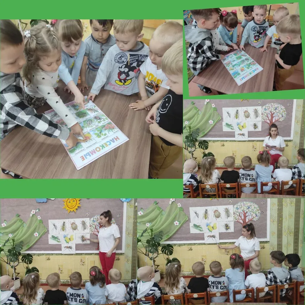 Маленькие энтомологи: Как "Солнышки" изучают разнообразный мир насекомых.  Сегодня в нашей разновозр