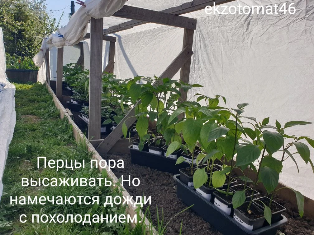 Здравствуйте! Короткий обзор того, что у нас происходит. Работаем и устаем. Спешим и надеемся.