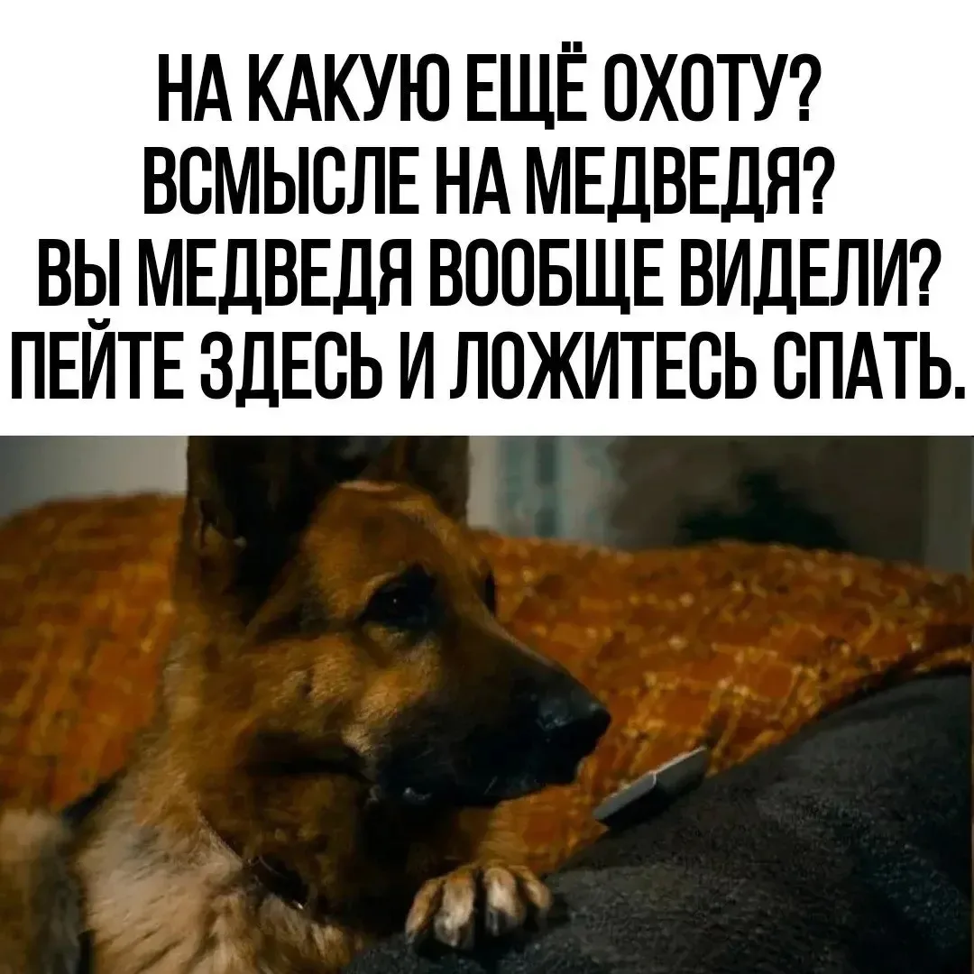 Юмор до слёз 🤣
