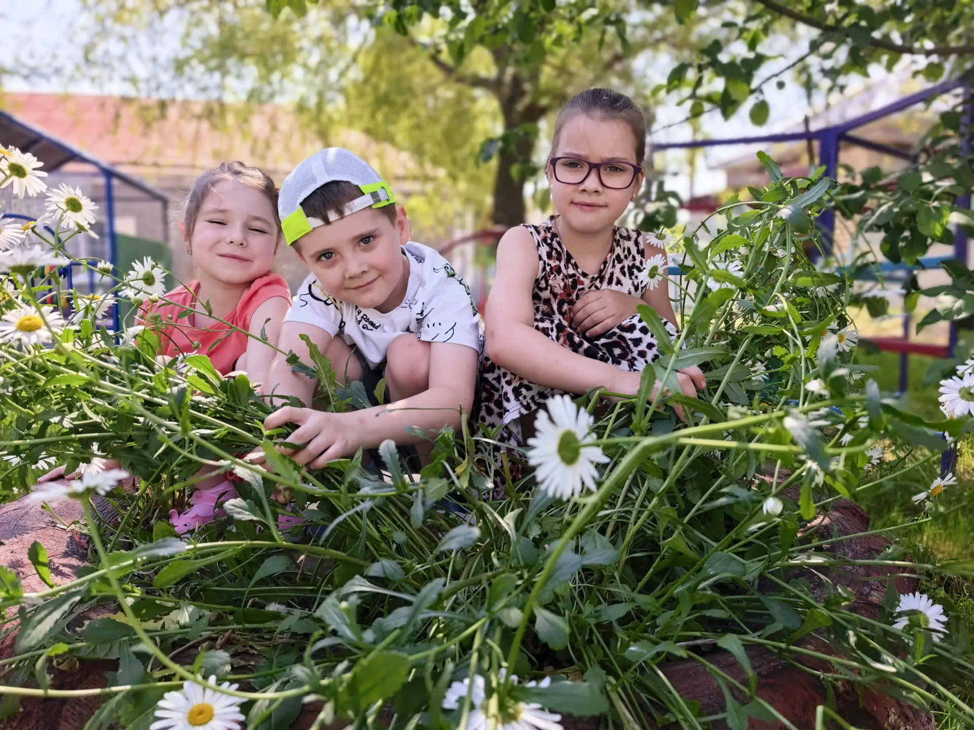 💛 🌼Маленькое солнце на моей ладошке, —
🌼 Белая ромашка на зеленой ножке.
🌼 С белым ободочком жел