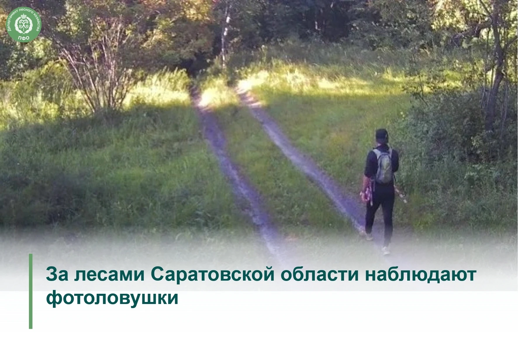 🟢 В Саратовской области развивается система лесной охраны. С прошлого года на землях лесного фонда 