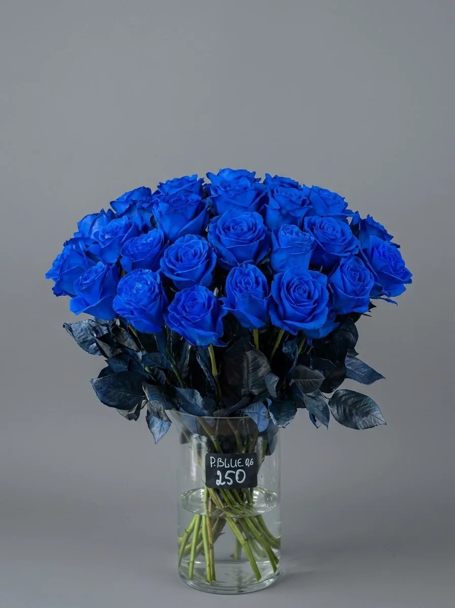 Привезли красивейшие синие розы💙

Мы в ВК: https://vk.ru/florist37ru
Для связи: 8 (963) 152-18-09