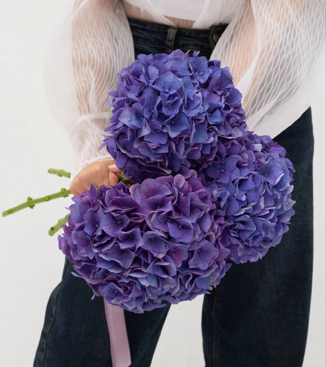 Фиолетовые гортензии 💜💙

1 шт • 1750₽ 
3 шт • 4550₽ / на фото /
5 шт • 7350₽

Уточнить наличие ⤵️
