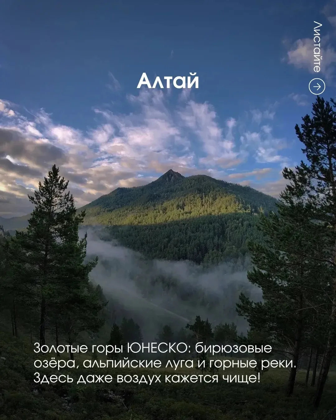 Сердечно поздравляю с Днём России! 🇷🇺
Этот праздник — символ нашей силы, истории и несгибаемого ду