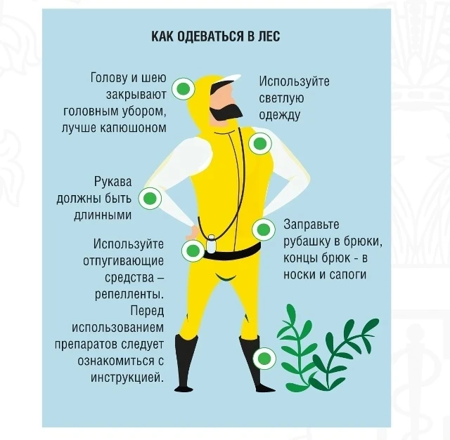 🏕️ При выезде на природу соблюдайте основные меры профилактики

🟠 надевайте светлую одежду с длинн