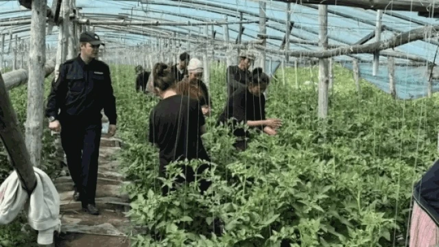 В Самаре за 4 дня рейдов были наказаны 400 нелегальных мигрантов

Текст: "Про Город Самара" (Евгений