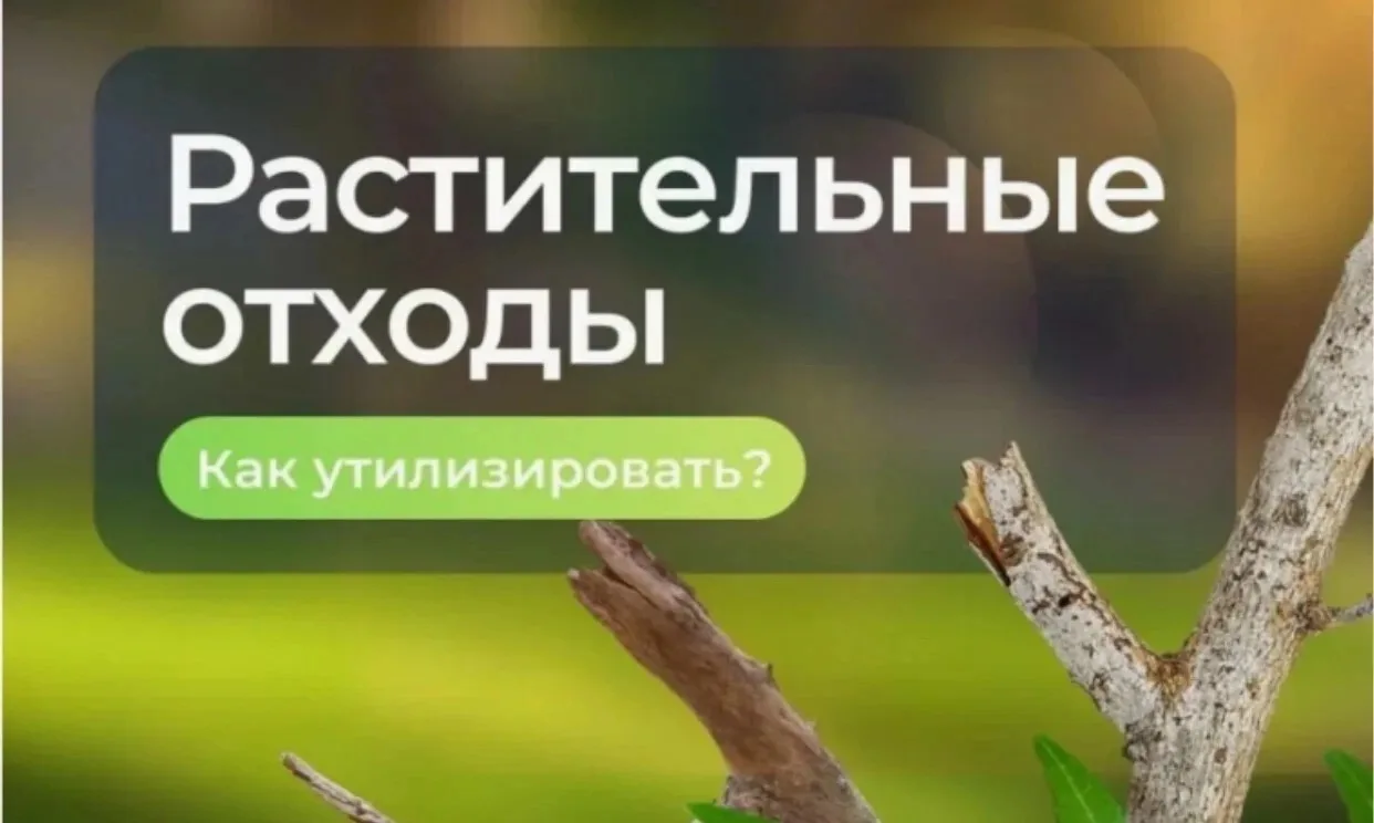 С наступлением летнего сезона жители Алексеевского округа активно приводят в порядок свои придомовые
