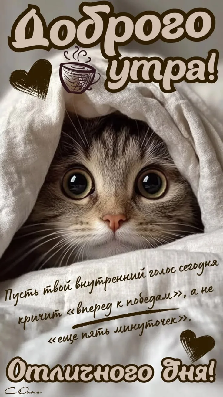 Открытки с Душой | Подписаться
Дамы с юморком! | Подписаться