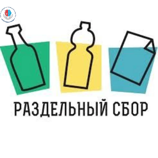 Все мы уже слышали о том, как мусор влияет на загрязнение окружающей среды. Сегодня разберем правила