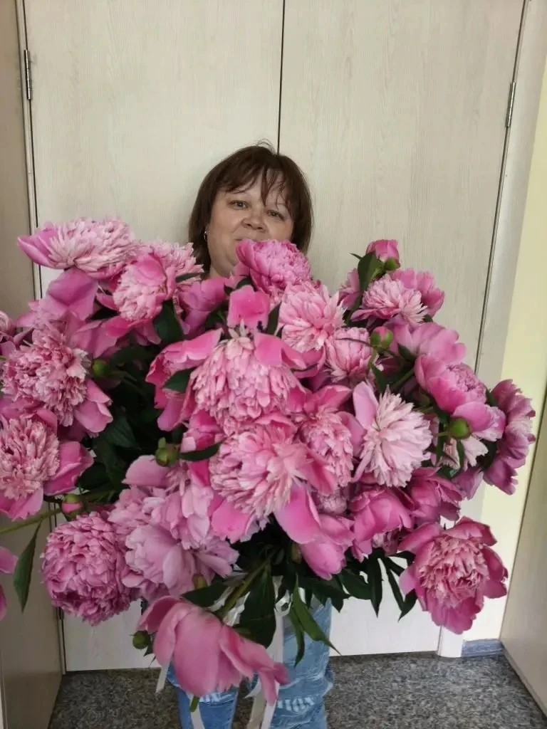 «Букет пионов»
                            Светлана Орищенко
Букет пионов на столе
Волнует ароматом 